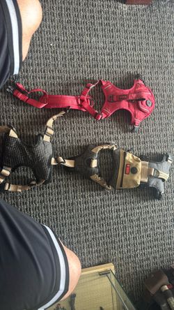 Kong Dog Harnesses