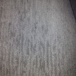 Carpet Gray's New  11x15 