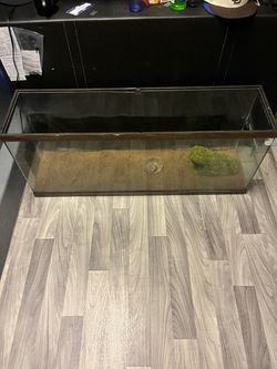 50 Gallon Glass Reptile Tank