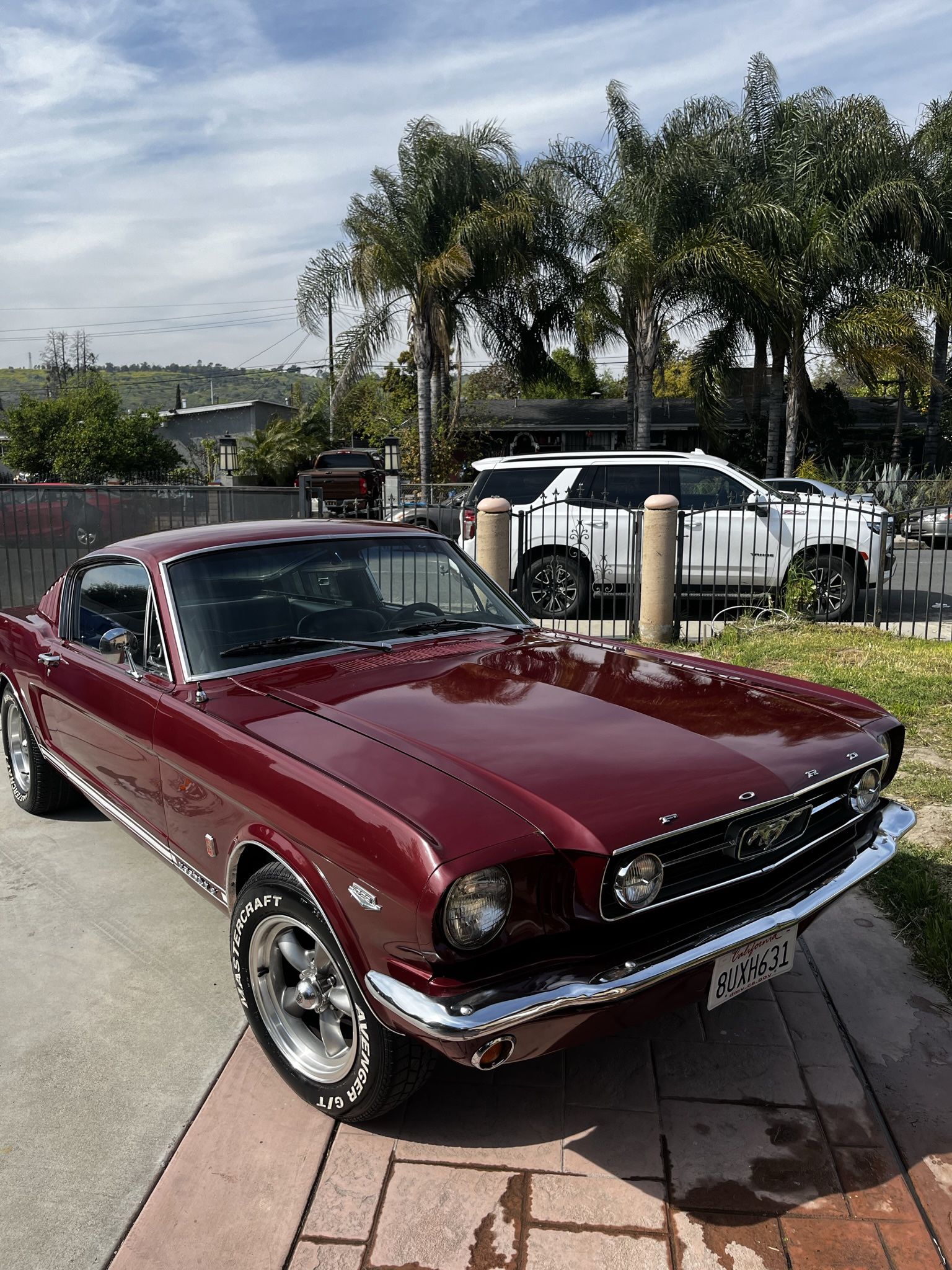 Mustang 1966 Fastback