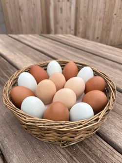 Chicken Eggs 