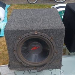Subwoofer 12 Inch