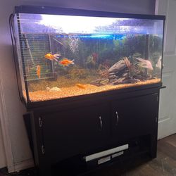 80 Gallon Fish Tank (Fishes Are Not Included)