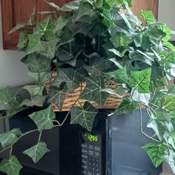 Fake Ivy Plant In Wicker Basket