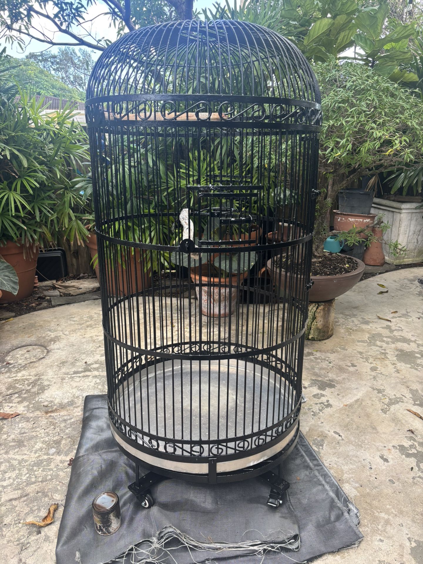 Big Bird Cage