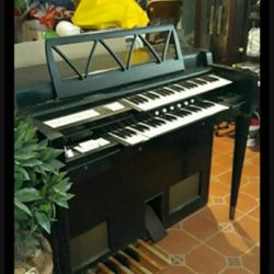 Free Organ Not Working 