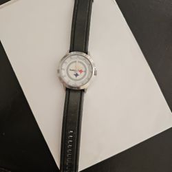 Steelers Watch