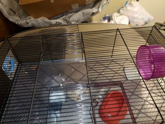 Hamster/guinea Pig Cage