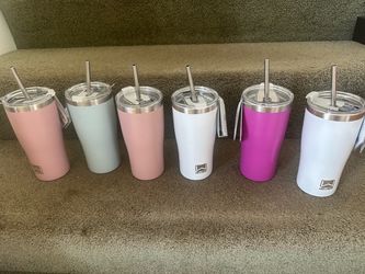 New Wellness Insulated Tumblers with Straw – Set of 6