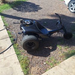 Hpe Muskin Cat Scat Tracker 1975 Muni Trike 