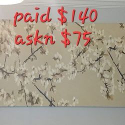 Cherry Blossoms Picture