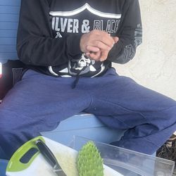 Se Venden Nopales A 10 La Bolsita