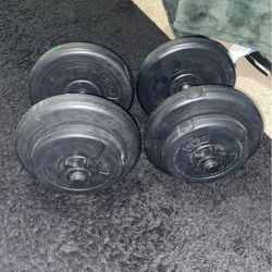 20lb Dumbbells 