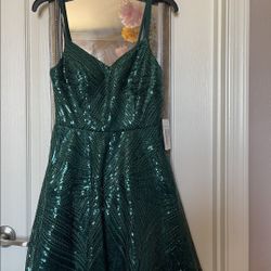Gorgeous Emerald Sequin Dress