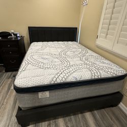 Queen Size Pillow Top Mattress New 12