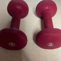 8 pound weights