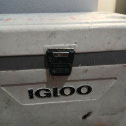 Igloo Ice Chest 