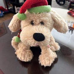 BEAUTIFUL FOR YOUR BELOVED CHILD (no pets no smoke)