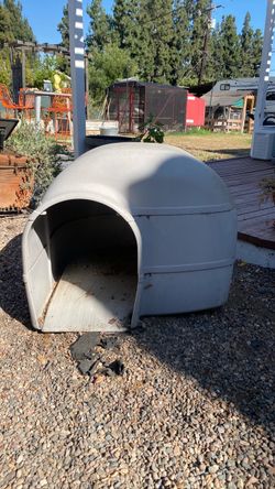 Large dog House
