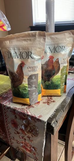 Chicken food
