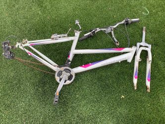 Nishiki bike frame