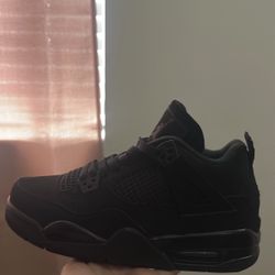 Black Cats 