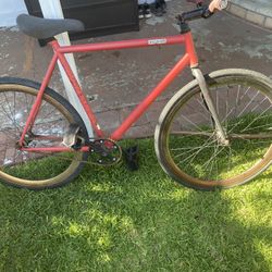 Bike Run Perfect