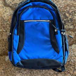 Blue School Backpack