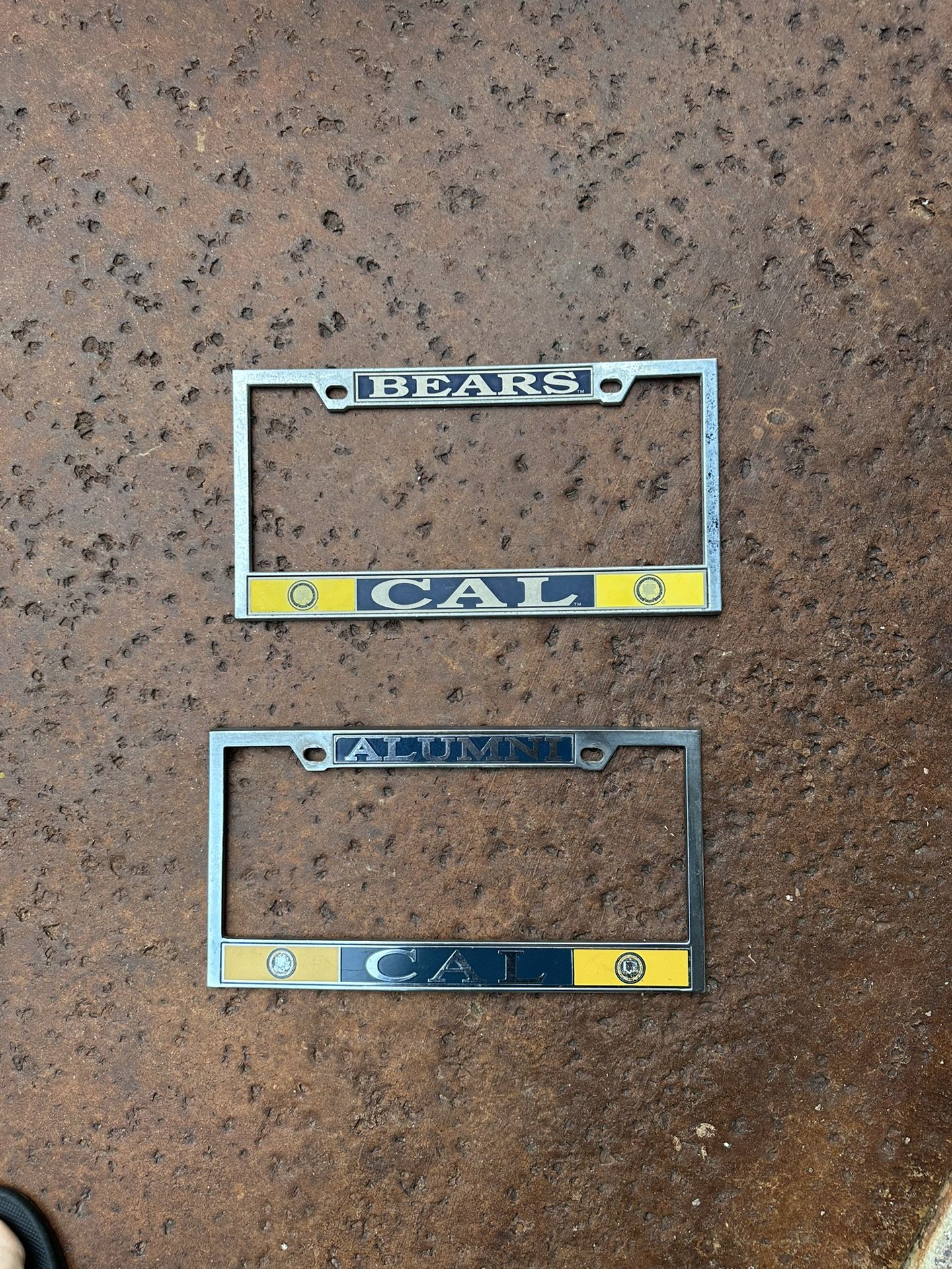 Cal Berkeley License Plate Frame