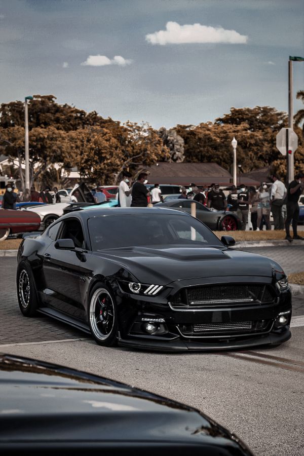 New 2016 Mustang Gt Exterior Mods for Large Space
