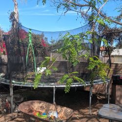 Large Trampoline 