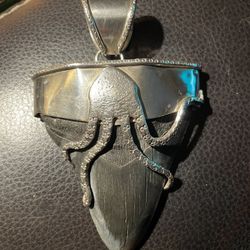 Large Megalodon Tooth Pendant Mounted In Silver.
