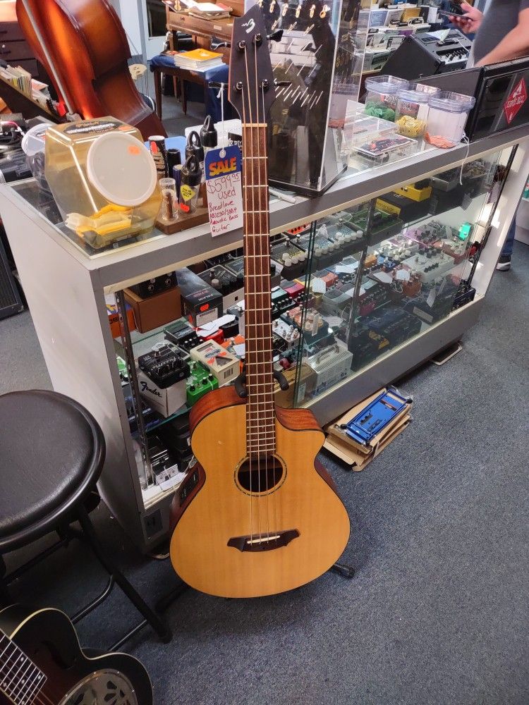 Breedlove ABJ250/SM4 Acoustic Bass Guitar