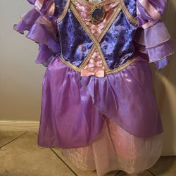 Disney Princess Costume 