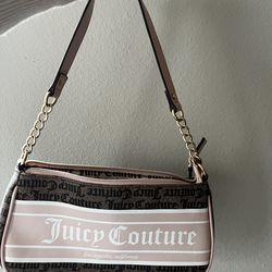 Juicy Couture Purse