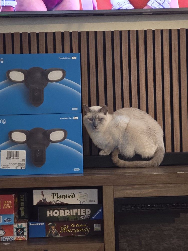 Brand New ring Camera Pro Floodlight