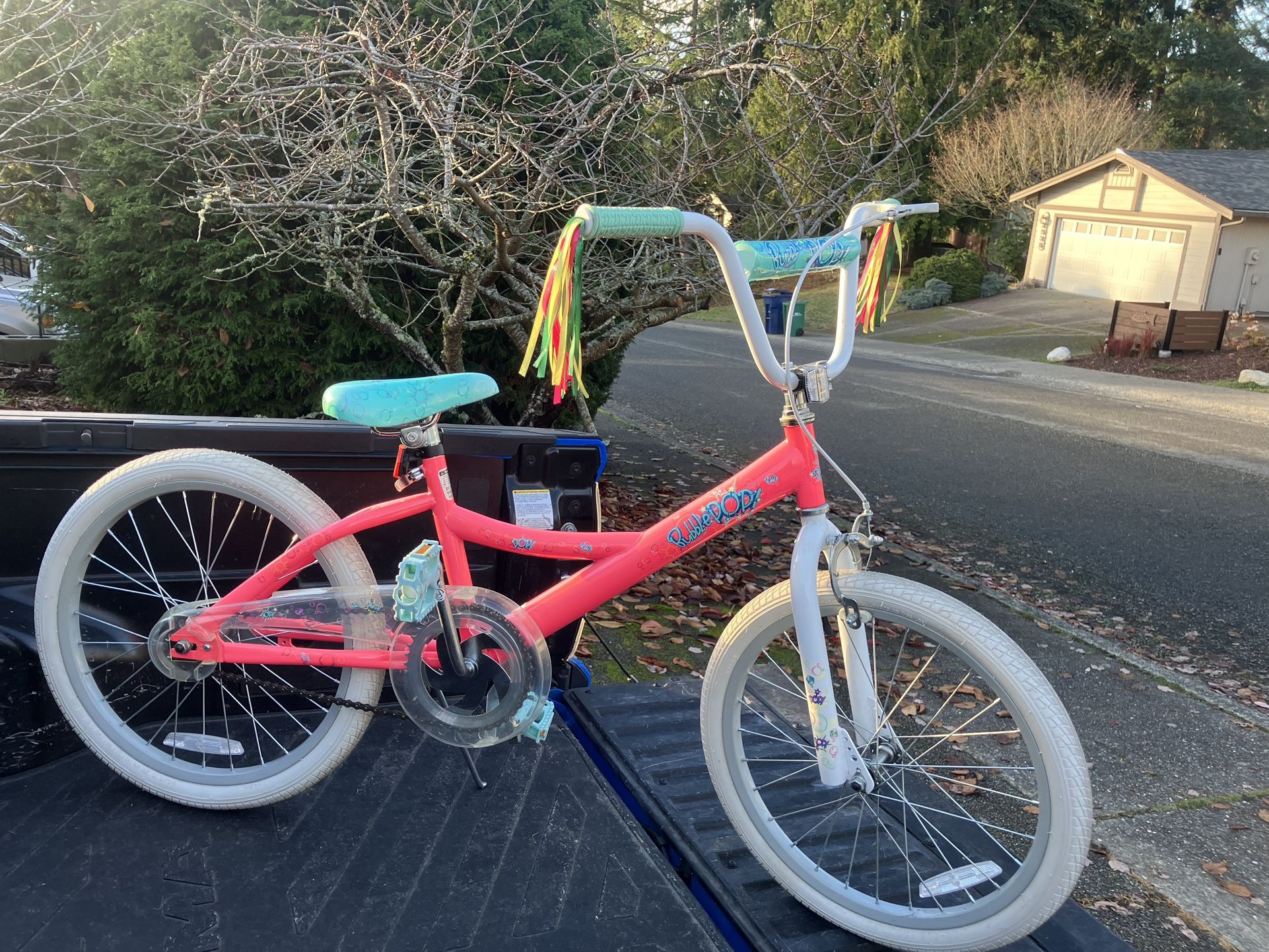 Child Kid Children 20” Wheels Bike Bicycle like New