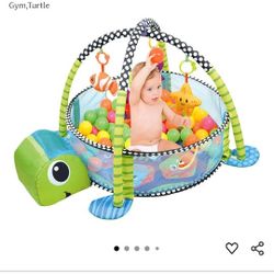 Turtle Playgym/Ball Pit 