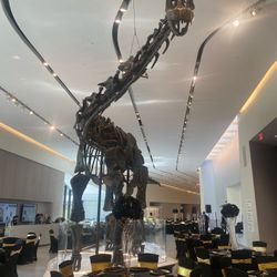 Wedding Decorations/ Party Decorations