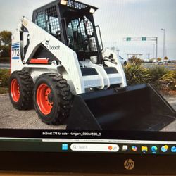 Bobcat 773