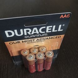 Duracell AA Batteries 