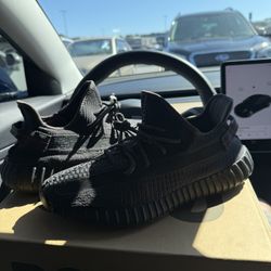 Yeezy Boost 350 v2 (2019) Used Once