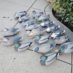 Duck Decoys
