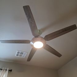 Gray Ceilung Fan 