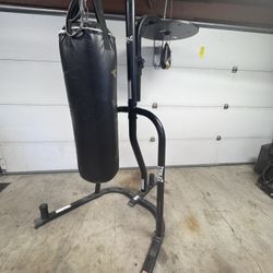 Everlast 2 Station Punching Bag