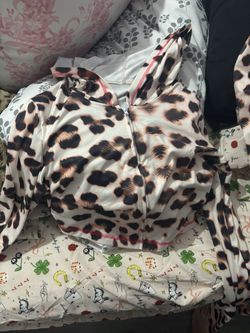 Cheetah set
