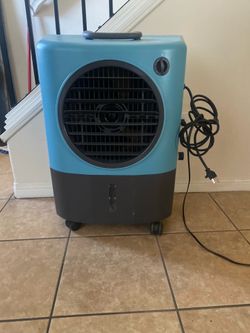 big fan