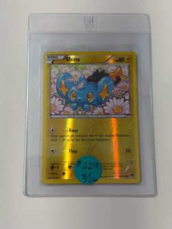 Shinx Pokemon