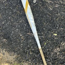 Baseball Bat 