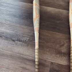 Softball Bat